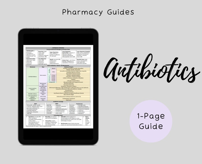 Antibiotics Pharmacy Study Guide NAPLEX Pharmacy School Notes Etsy