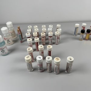 Seeley's China Paint - Etsy