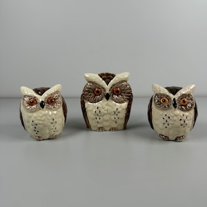 JOLI SET SALIÈRE poivrière + pot + hibou chouette pics apéritif bois olivier EUR 29,99 - FR