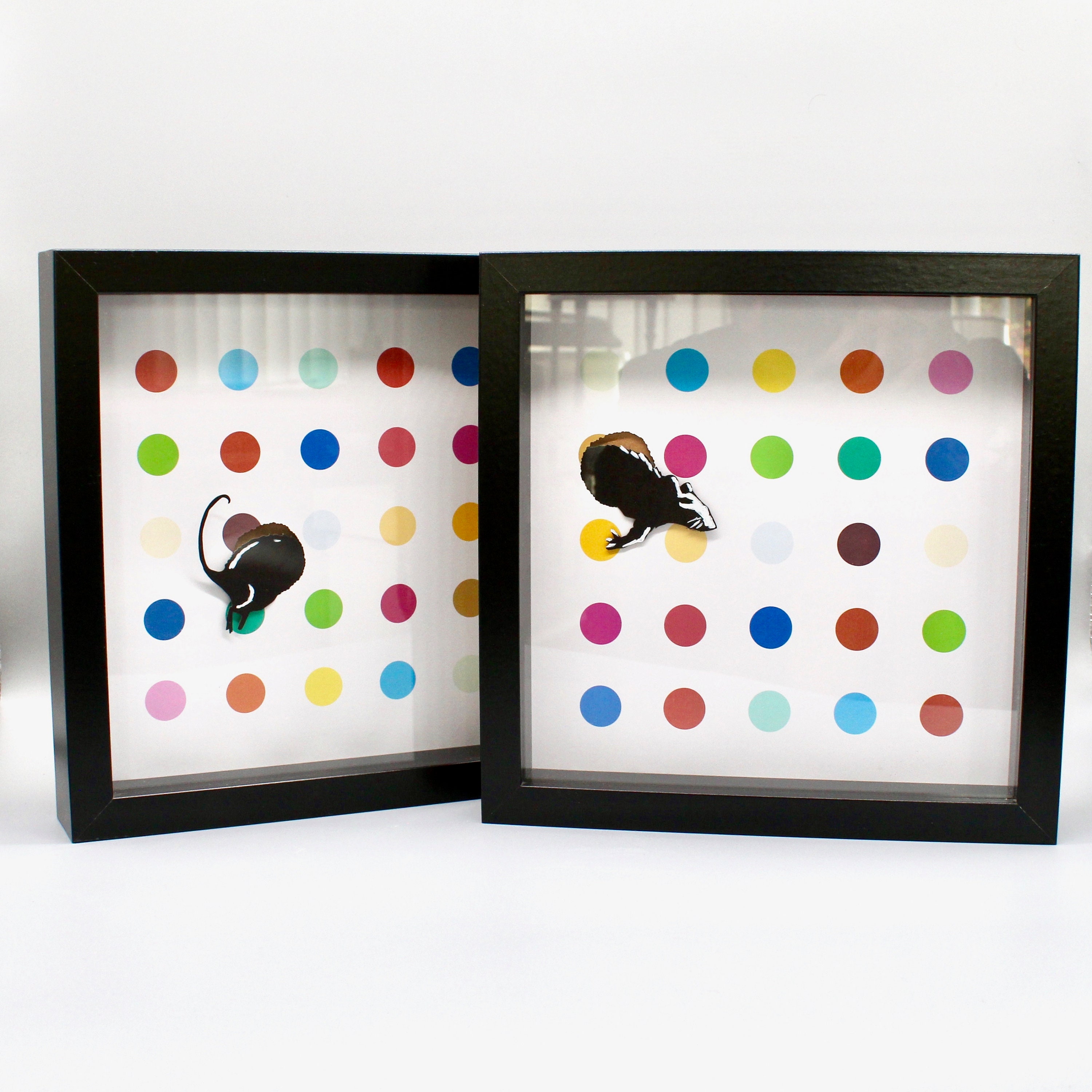 Amazon.com: Damien Hirst: The Complete Spot Paintings, 1986