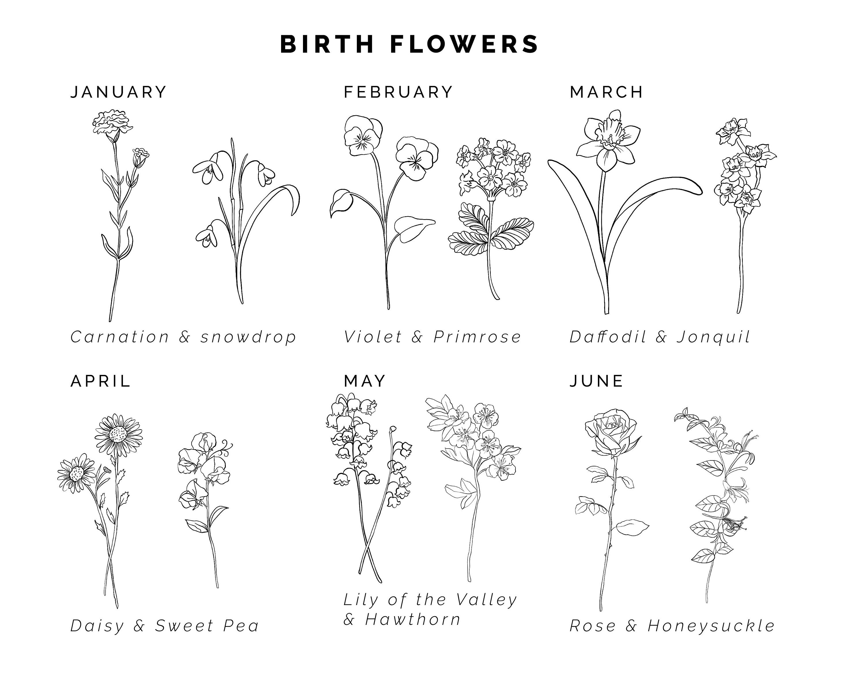 Hand Drawn Birth Flower Sticker | Floral Stickers| Mother Gift ...