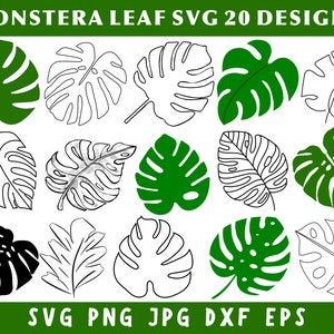 Op de afbeelding: Een verzameling van 20 Monstera bladontwerpen in SVG-formaat. De afbeelding bevat verschillende illustraties van Monstera bladeren in groen, zwart en omtrek. De tekst bovenaan luidt "MONSTERA LEAF SVG 20 DESIGNS".