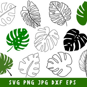 Monstera Leaf Svg Bundle, Tropical Leaves Svg, Monstera Clipart, Jungle ...