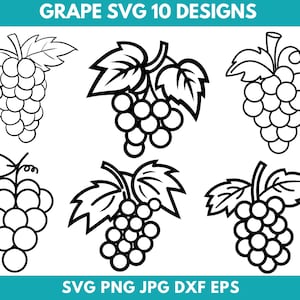Grape Svg Bundle, Fruit Svg, Wine Grapes Svg, Grape Cricut, Grape Vector, Grape Silhouette, Svg Files For Cricut, Instant Download