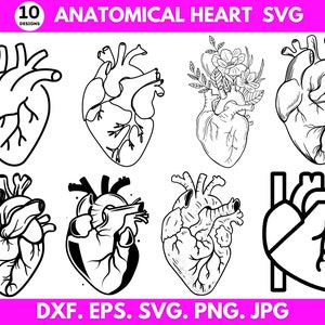 Anatomical Heart Svg Png Bundle, Medical Svg, Human Heart Svg, Anatomical Heart Clipart, Flower Heart Svg, Cricut, Instant Download