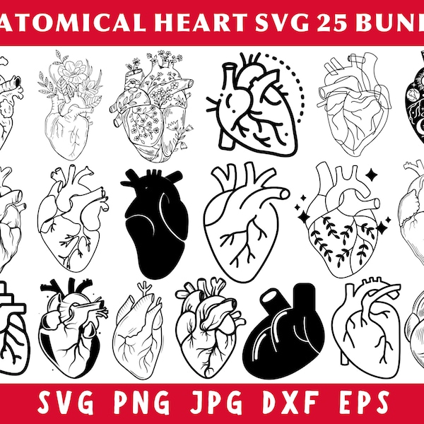 Anatomical Heart Svg Bundle, Human Heart Svg, Heart Svg, Anatomical Heart Png, Heart Clipart, Medical Svg, Heart Png, Svg Files For Cricut