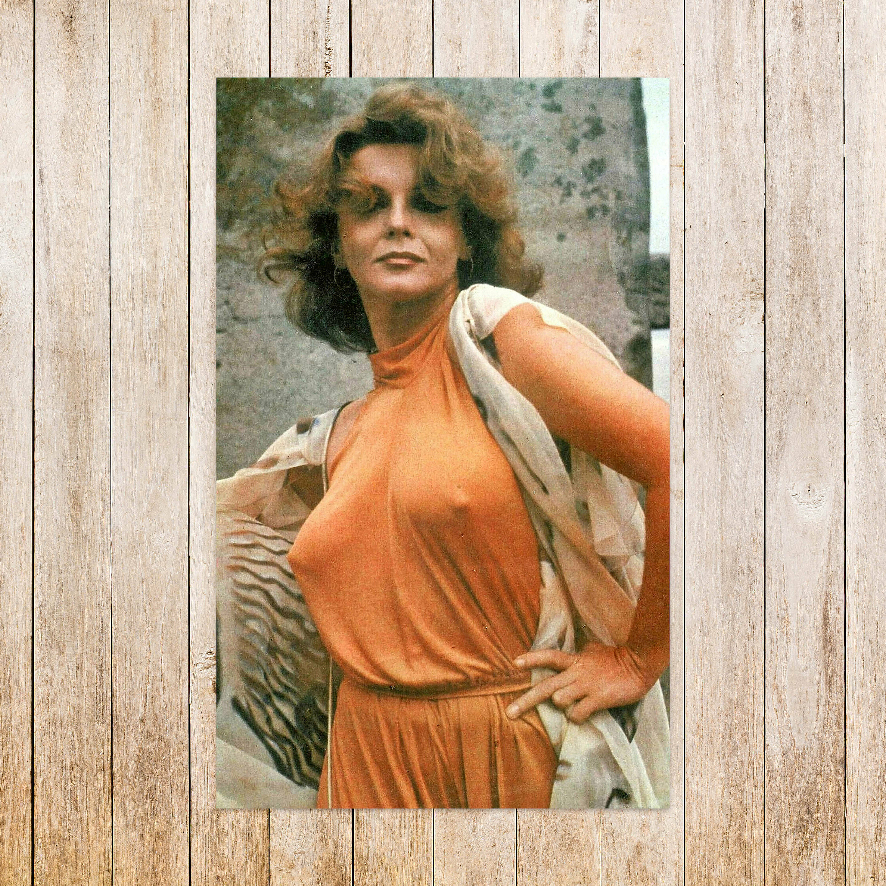 Braless Nipples Print Ann Margret Print Lostvintages - Etsy Canada