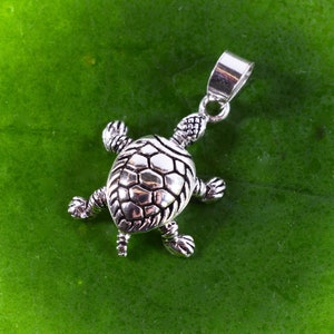 Pode incluir: Encanto de pingente de tartaruga de prata com um design de concha detalhado. O pingente está sobre um fundo verde.