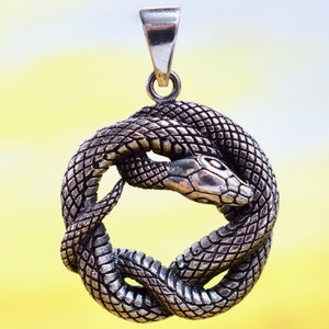 May include: A silver pendant in the shape of two snakes intertwined in a circle. The snakes are detailed with scales and have a realistic appearance.