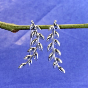May include: A pair of silver earrings shaped like delicate branches with leaves. The earrings are hanging from a twig.