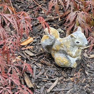 Realistic solid cement New England Squirrel statue figurine! Outdoor or indoor -perfect for garden! Hand cast and hand painted!