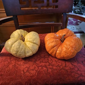 Large Concrete REALISTIC  PUMPKIN for outdoor or indoor! It is a beauty!  Handcrafted and hand-painted  Home Decor, Fall Decor, Thanksgiving