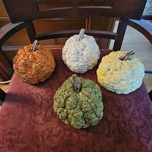May include: Four decorative pumpkins with highly textured, bumpy surfaces and dark brown stems. The pumpkins are colored in orange, white, pale yellow, and olive green. Each pumpkin features a rounded, irregular shape with deep ridges and bumps.