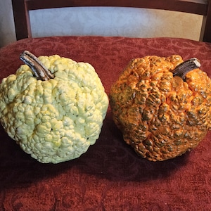 May include: Two decorative pumpkins with highly textured, bumpy surfaces. One pumpkin is a pale, creamy yellow color, while the other is a vibrant, deep orange. Both feature a dark, realistic stem at the top, creating a distinct contrast in color.
