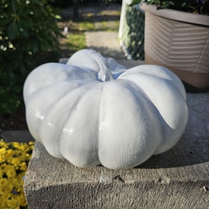 May include: A white painted pumpkin with a smooth, glossy finish and deep vertical ridges. The pumpkin features a central stem that is also painted white, matching the body. The surface of the pumpkin reflects light, highlighting its rounded shape.