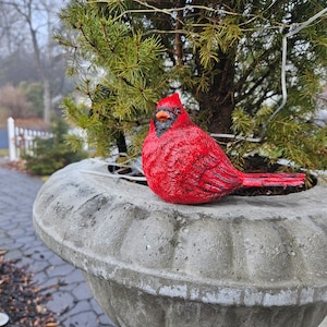 Red CARDINAL Concrete Bird Statue Figurine . Hand Painted Outdoor