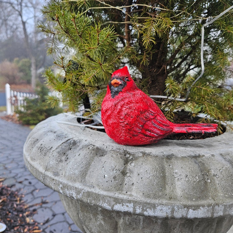 Outdoor Concrete Cardinal - Etsy