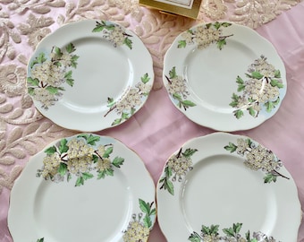 Royal Albert Set of 4 Salad Plates,Hand Painted Flower of the Month May- Hawthorn