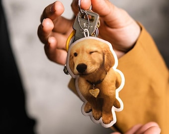 personalized pet pillow keychain Name and Photo Keychains Gifts For Pet Lovers, Gift for Her, Valentine&#39;s Day Gift, personalized keychain