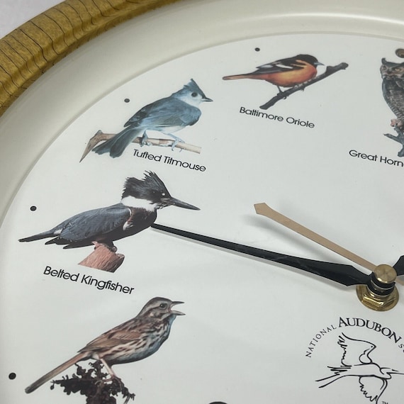 Vintage National Audubon Society Bird Song Singin… - image 6