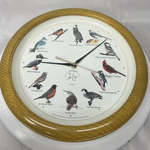 Vintage National Audubon Society Bird Song Singin… - image 1