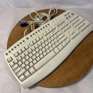 Könnte beinhalten: Eine beige Microsoft-Computertastatur mit QWERTY-Layout, ausgestattet mit einer Reihe kreisförmiger grauer Funktionstasten an der Oberseite, einem gewickelten weißen Kabel sowie einem violetten PS/2-Stecker und einem schwarzen USB-Anschluss.