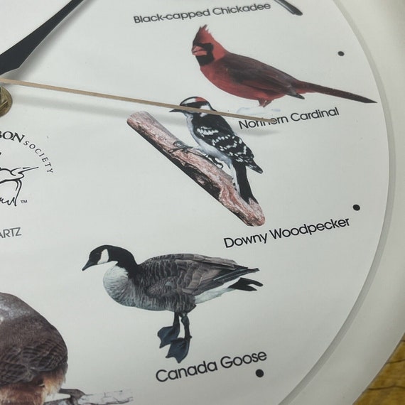 Vintage National Audubon Society Bird Song Singin… - image 4