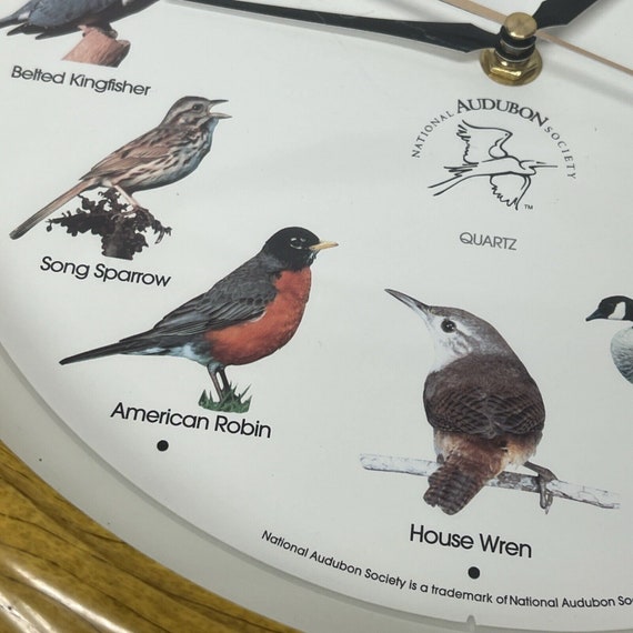 Vintage National Audubon Society Bird Song Singin… - image 5