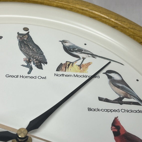 Vintage National Audubon Society Bird Song Singin… - image 3
