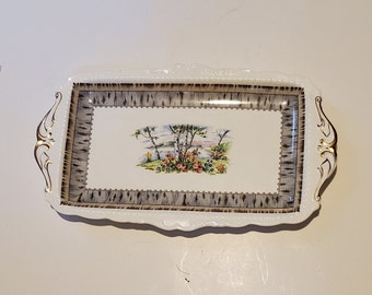 Royal Albert Serving Tray Vintage China "Silver Birch" Pattern Excellent