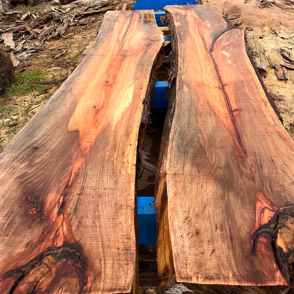 Pecan Slabs - Various Thicknesses, Widths, and Lengths - Kiln Dried, Planed, Flattened