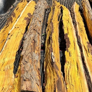 Bois d’Arc Bow Staves (Osage Orange, Hedge, Bodark, Yew) - Various Sizes and Styles