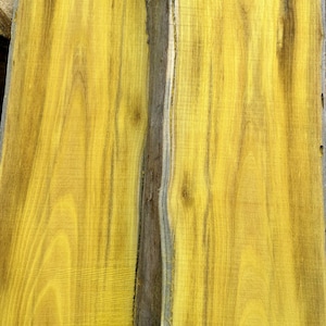 Bois D’Arc (Osage Orange) Slabs - 2” Thick - Kiln Dried - Select Various Widths and Lengths