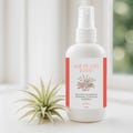 Air Plants Fertilizer Food - Bloom and Care in One - Ready-to-Use 17-8-22 Formula For All Air Plants Tillandsia - 8oz Spray Bottle