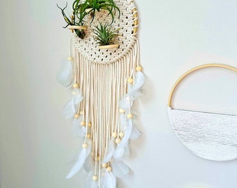 Air Plants Wall Hanger Holders - Emotional Balance Boho Home Decor w/ Live Air Plant - Handcrafted Gift for Gardener - Gift for Plant Parent