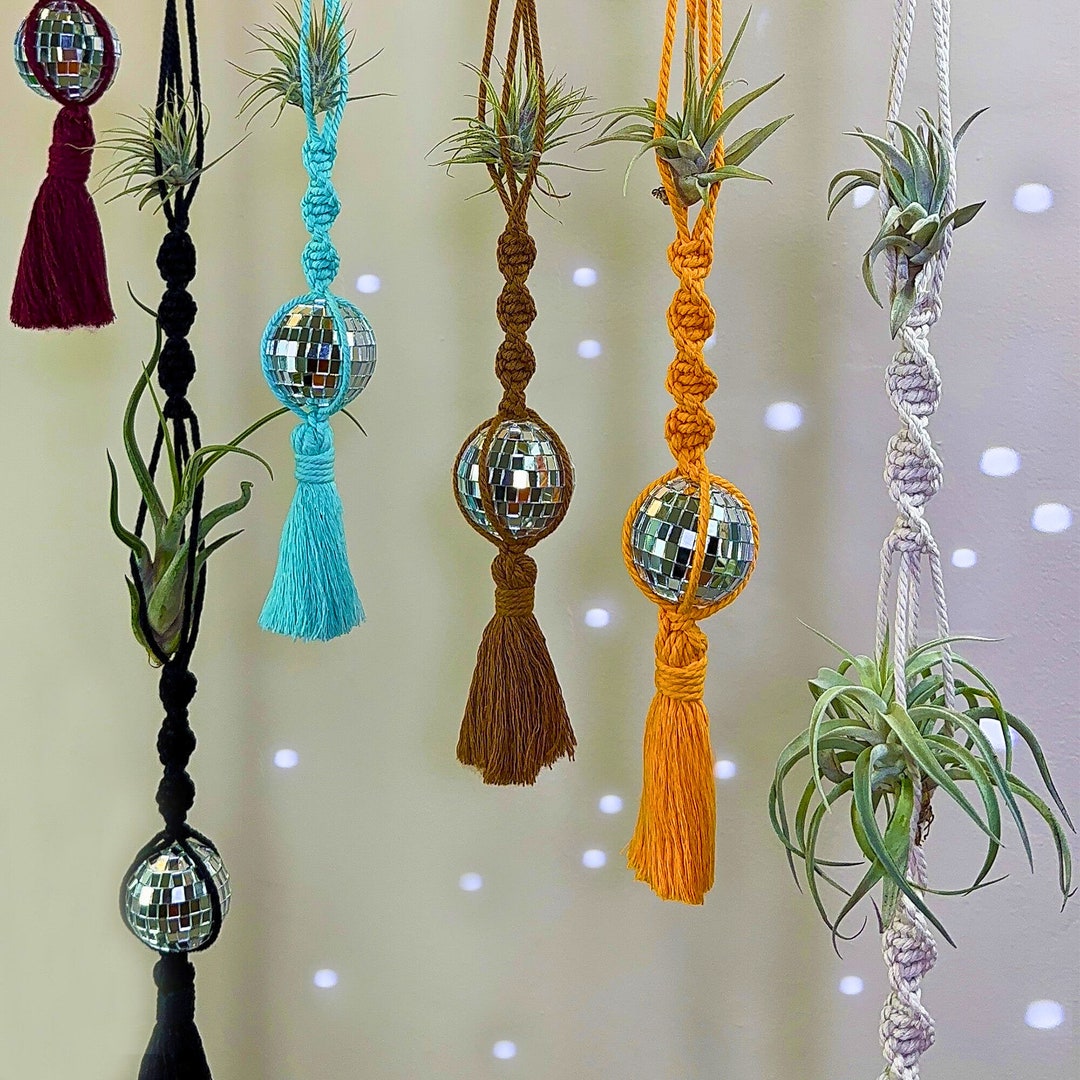 Air Plants Suncatcher Holder Hanging Tillandsia Live Air Plant Hanger