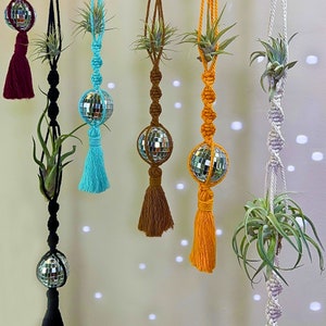 Air Plants Suncatcher Holder Hanging - Tillandsia Live Air Plant Hanger for Window - Plant lovers Gift - Mental Health Air Plant