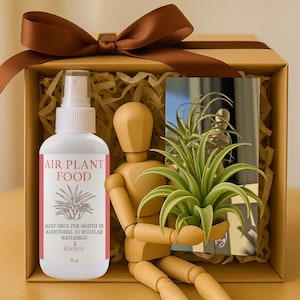 May include: A gift box with a brown ribbon, containing a white spray bottle labeled "AIR PLANT FOOD" and a wooden poseable figure holding a green air plant. The bottle is 8 oz. The box also contains a small card with a plant image.