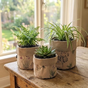 Peut inclure: Trois plantes en pot sur une table en bois près d'une fenêtre. Les plantes sont dans des pots en tissu beige avec des illustrations botaniques. Les plantes comprennent une fougère, une succulente et une plante araignée. L'arrière-plan est flou.