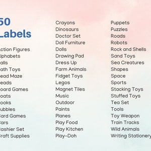 Stuff Toy Label Example Editable Toy Bin Labels, 60 Illustrated Labels (google Doc) - Etsy