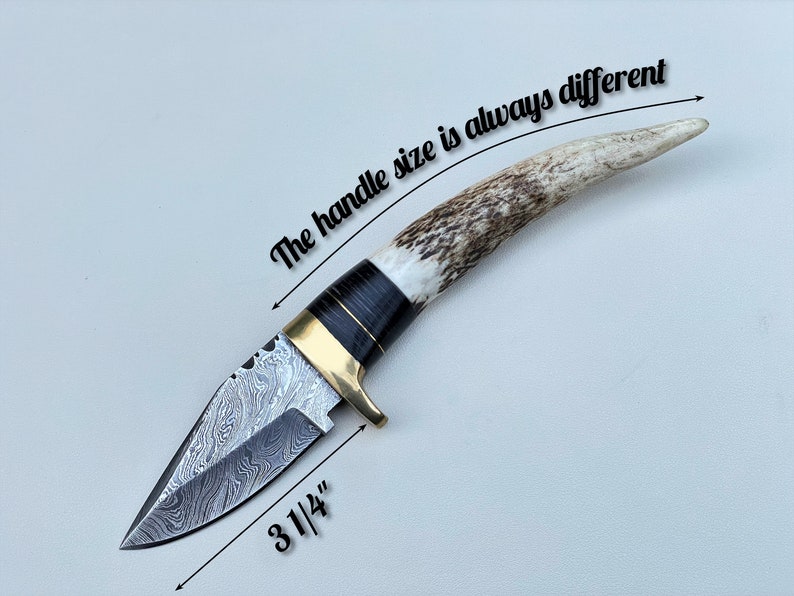 Stag Antler Knife, Damascus Steel Knife, Deer Antler Knife, Personalized Pocket Knife, Engraved Knife, Custom Knife Gift Valentines Day Gift image 10