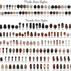 May include: A comprehensive digital chart displaying various hair styles labeled with codes. The top section, titled Male Hair Styles, features rows of short and medium-length cuts in black, brown, blonde, and gray. The bottom section, Female Hair Styles, includes diverse long, braided, and wavy options in various colors.