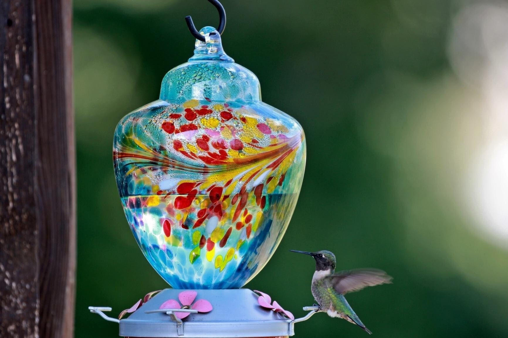 Authentic Gets Rid of Ant Fast Hummingbird Feeder Flower Ant Moat 3