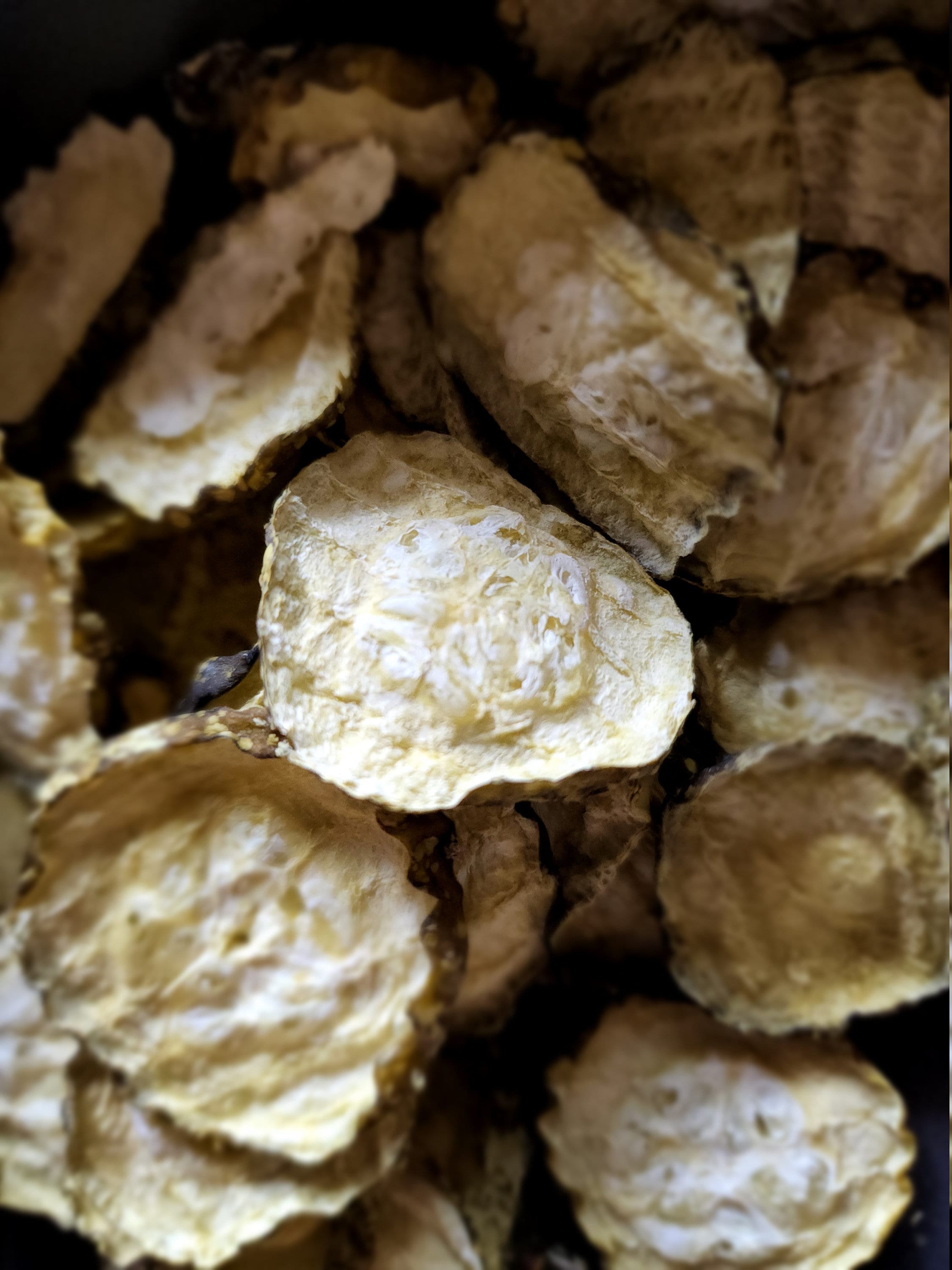 Freeze Dried Dill Pickle Chips Etsy