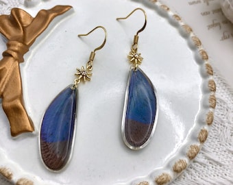 Puede incluir: Un par de pendientes de oro con un dije de estrella y un ala de mariposa azul y marrón encapsulada en resina transparente.