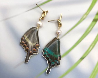 Real Peacock Swallowtail Butterfly Wing Earrings