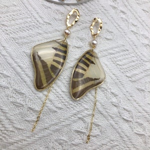 Real cicada butterfly wing earrings, real cicada, real sterling silver, cicada wings earrings, butterfly  jewelry