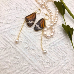 Authentic Monarch Butterfly Earrings - Monarch Butterfly Front Wings - Bohemian Authentic Butterfly Earrings, Gifts for Women