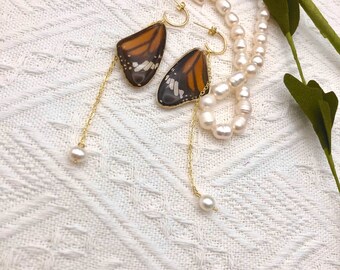 Authentic Monarch Butterfly Earrings - Monarch Butterfly Front Wings - Bohemian Authentic Butterfly Earrings, Gifts for Women