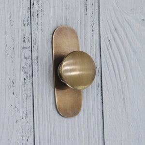 May include: A brushed brass cabinet knob with a round, slightly raised,  handle and a rectangular base.